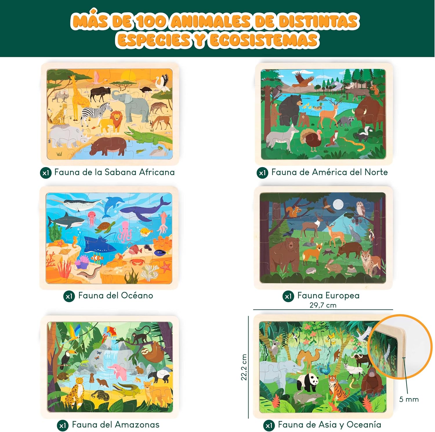 BONNYCO Puzzle Madera 6 Sets - Imagen 2